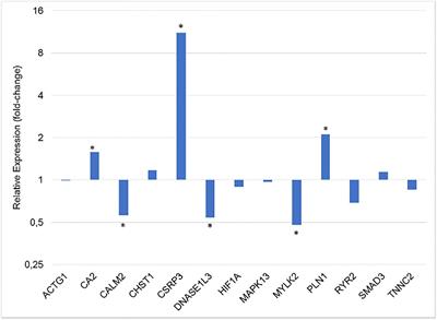 Differential Expression of Myogenic and Calcium Signaling-Related Genes in Broilers Affected With White Striping